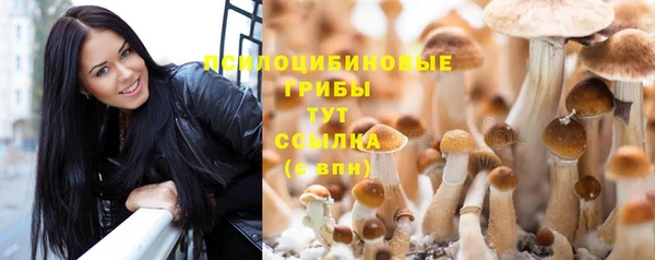 альфа пвп Горно-Алтайск